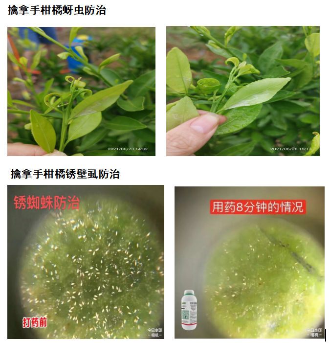 針對這個可控難治的病，我們有高招！